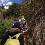 hiking up